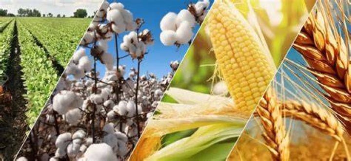 agricultural commodities