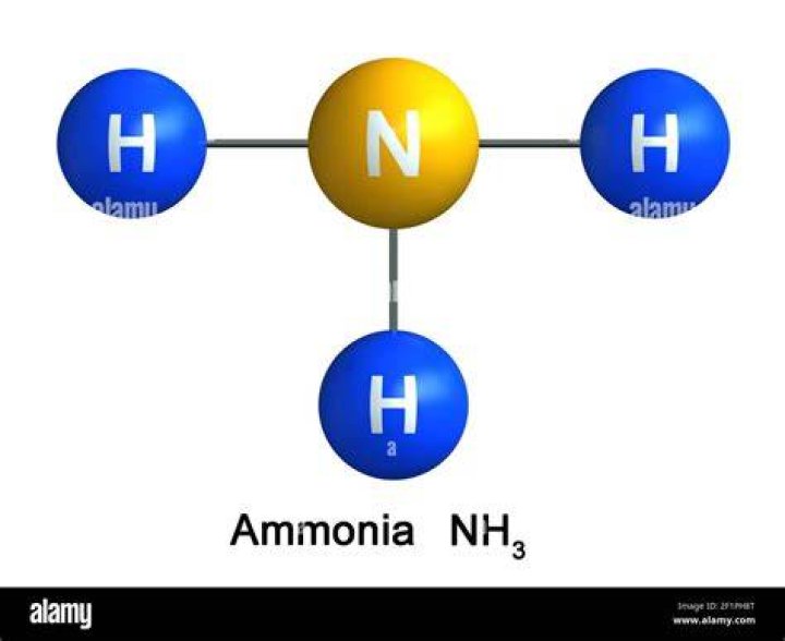 Ammonia's chemical reactivity