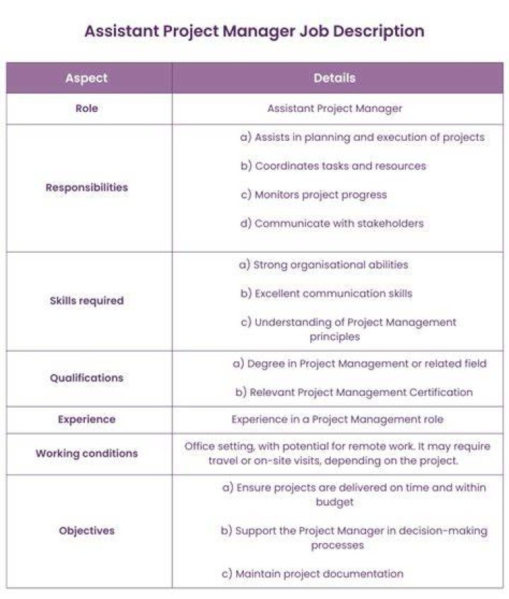 assistant project manager