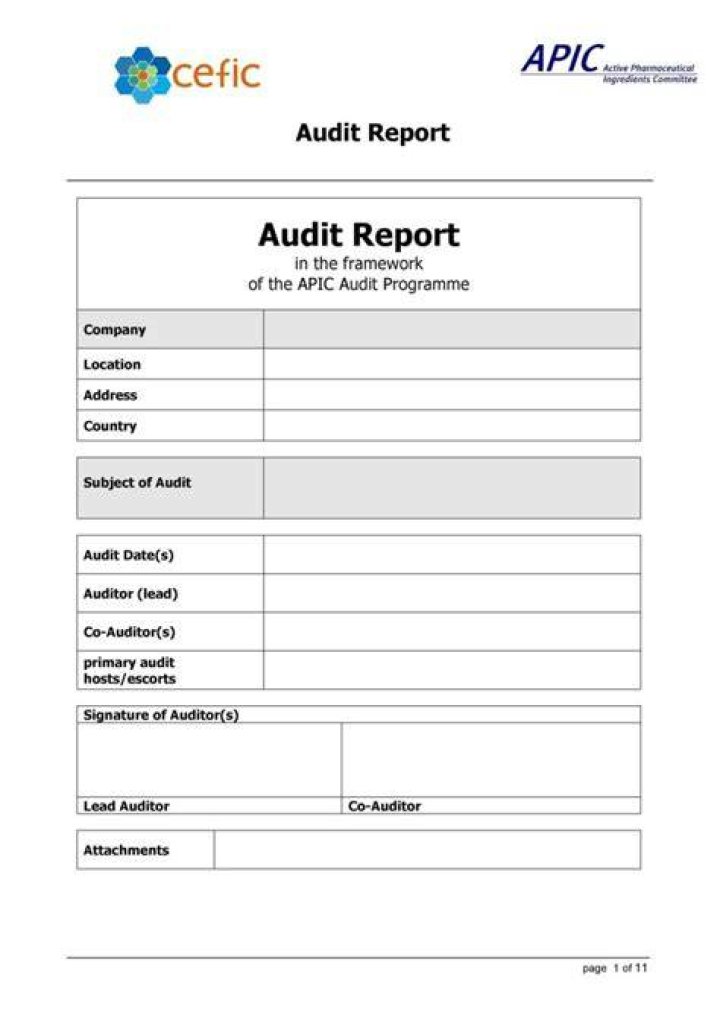 audit report