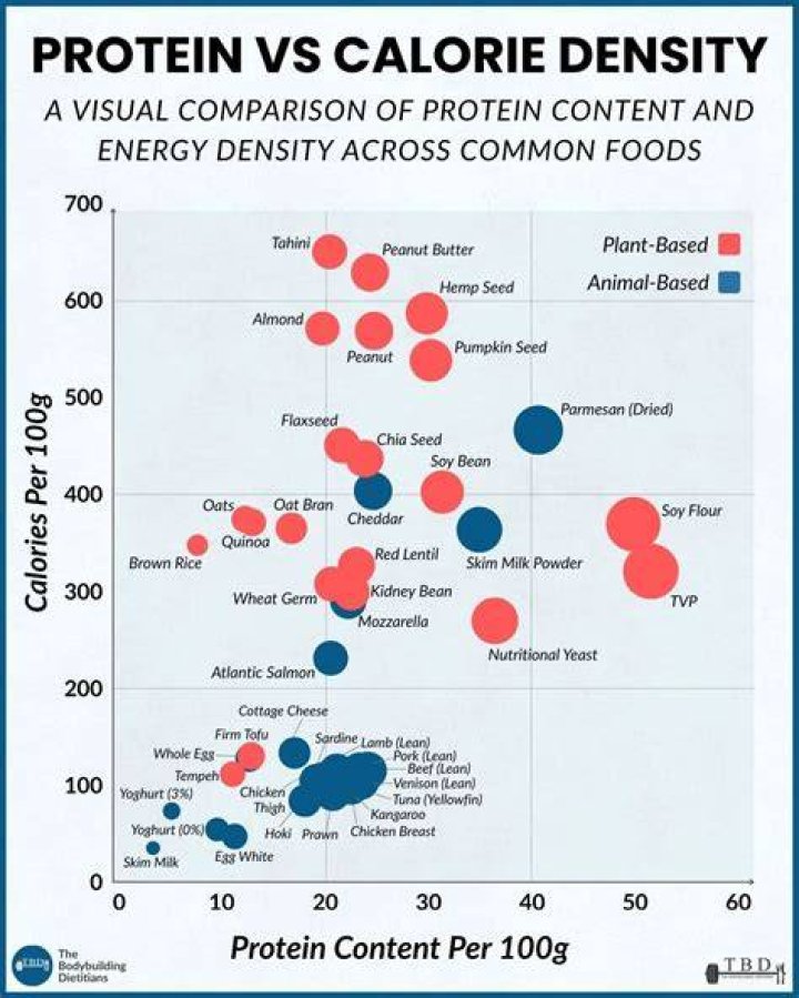 calories in protein