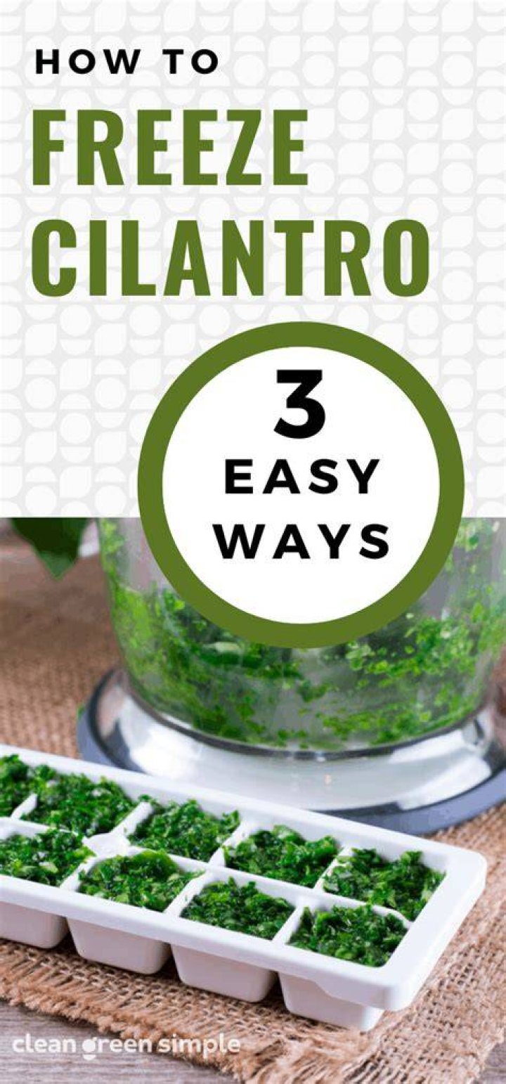 can you freeze cilantro