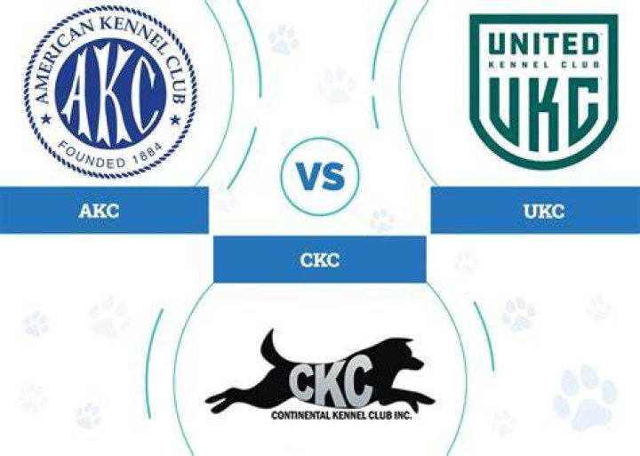 Ckc Vs Akc