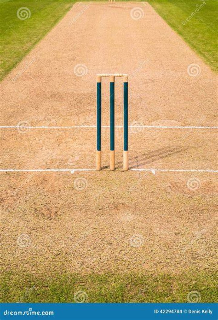 cricket wicket