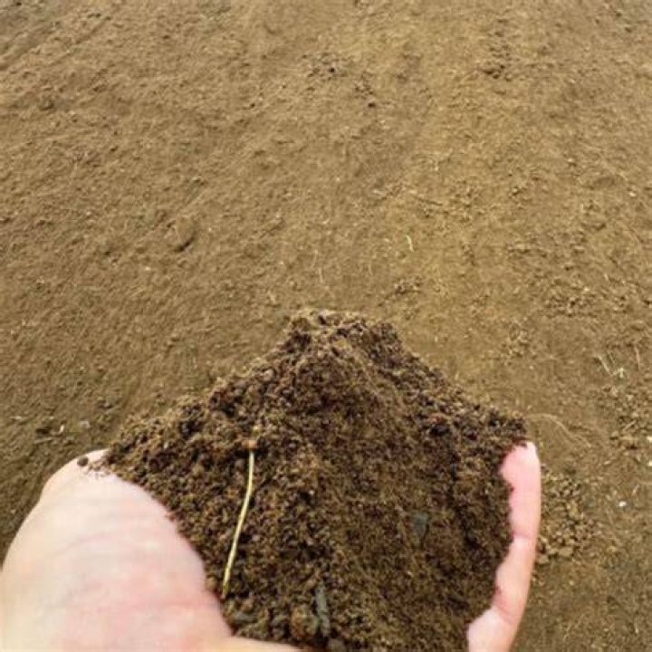 dirt for sale near me