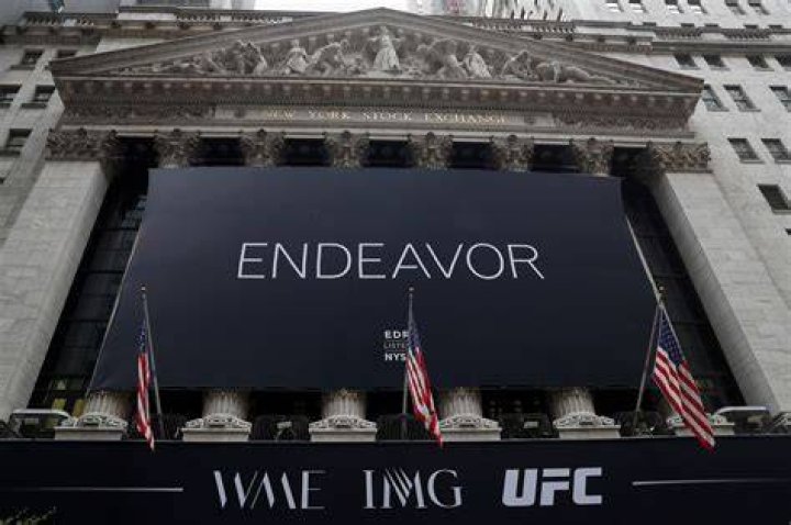 endeavor stock