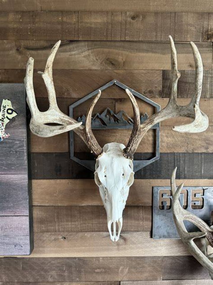 euro mount