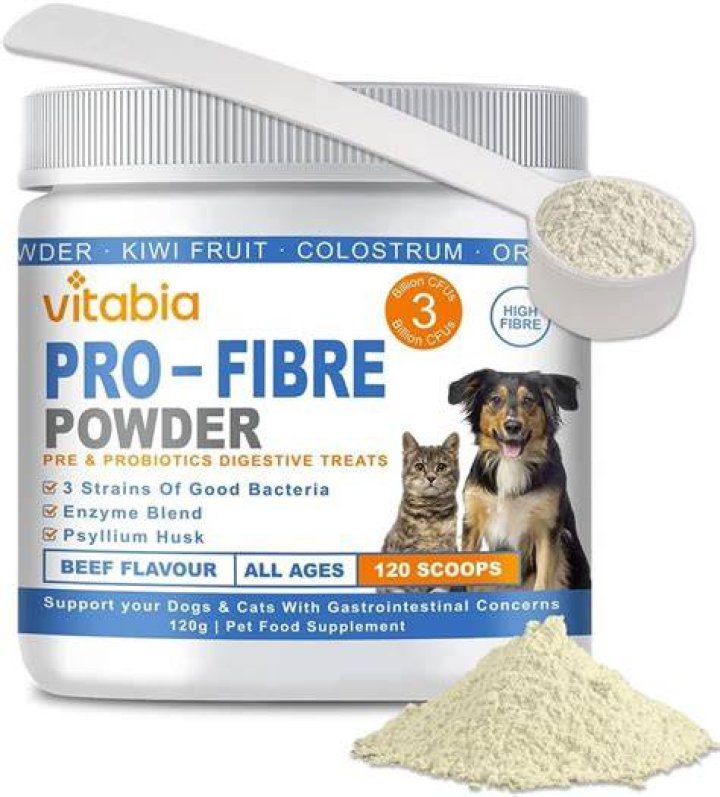 fiber supplement for dogs