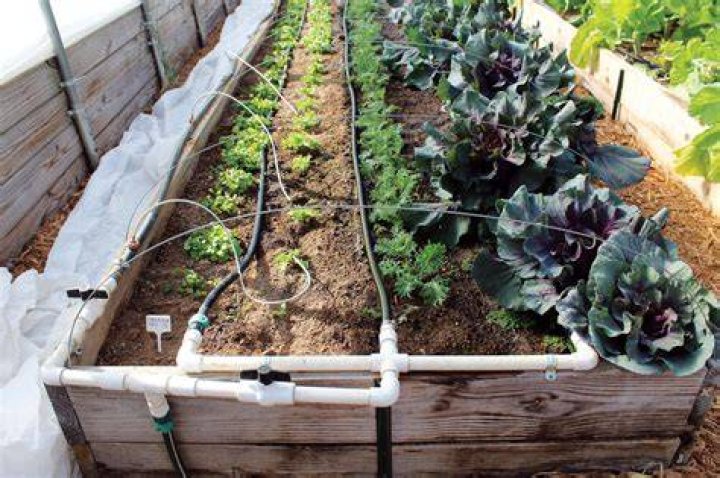 garden irrigation