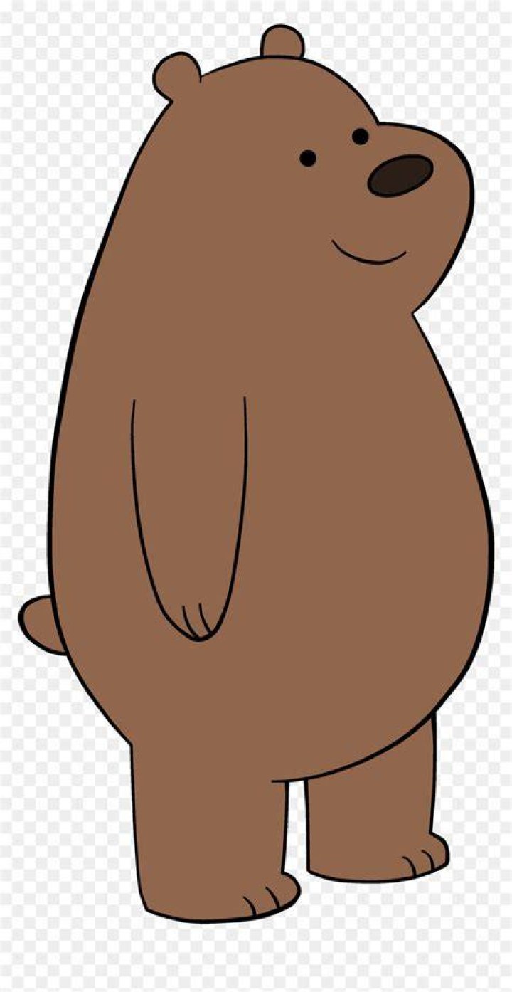 grizzly bear-we bare bear