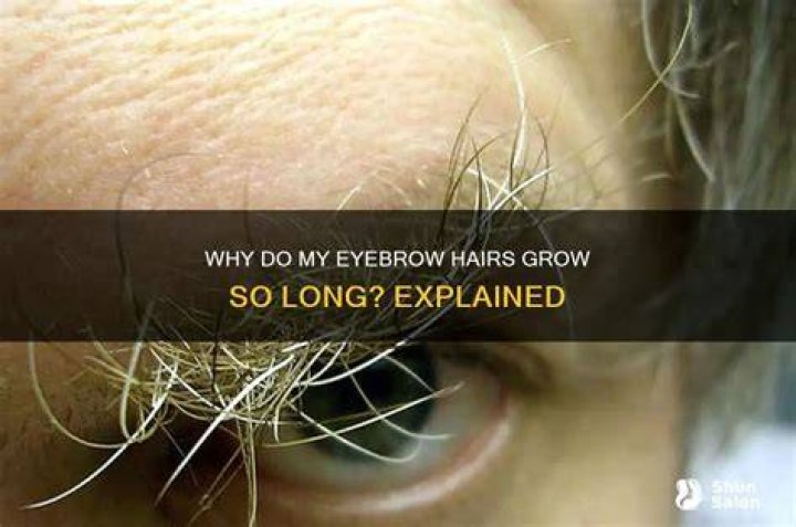 hairs