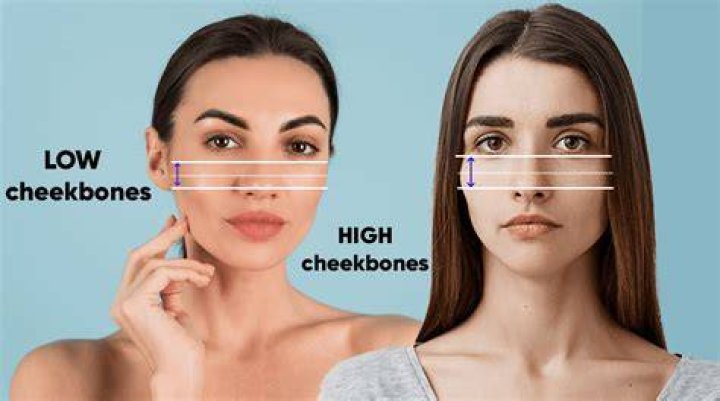 high cheekbones
