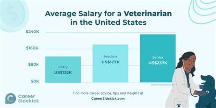 how much does a veterinarian make an hour