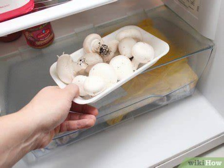 how to keep mushrooms fresh