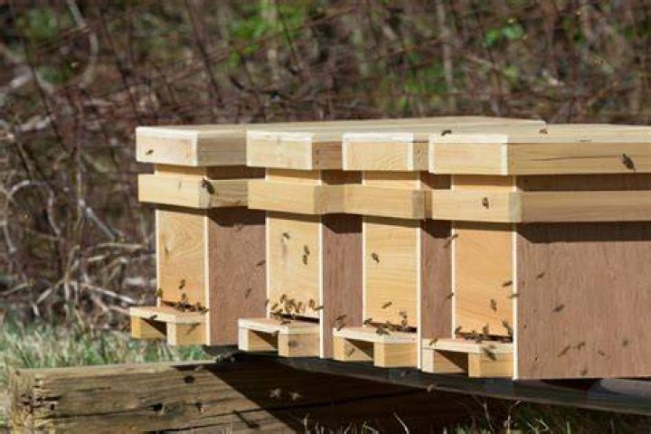 how to make a beehive