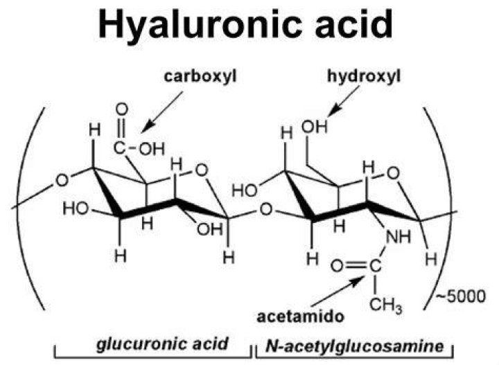Hyaluronic acid