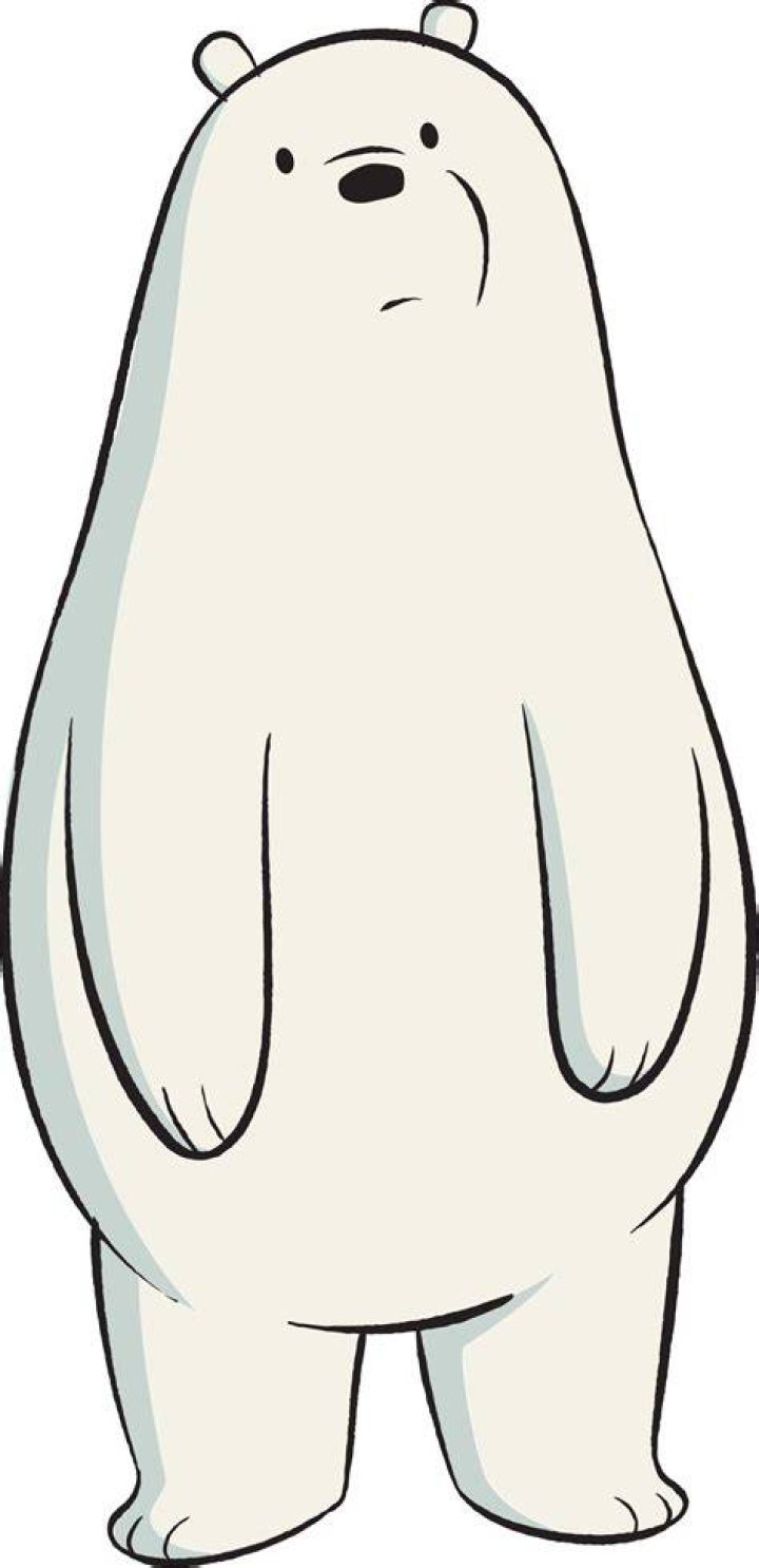 ice bear
