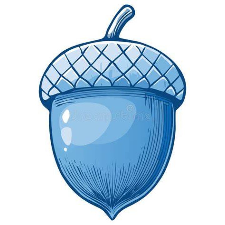 is blue acorn legit