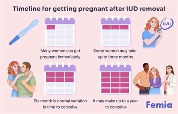 iud pregnancy stories