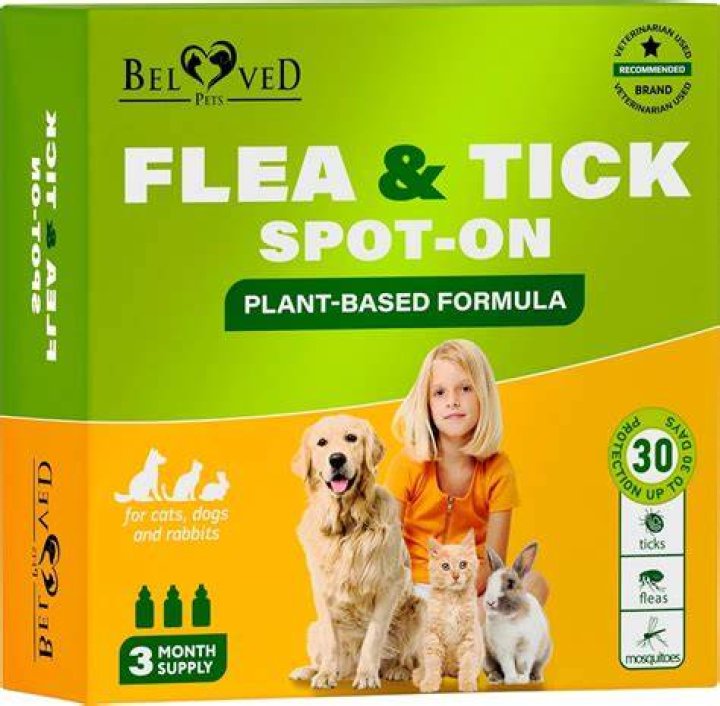 natural flea treatment for dogs