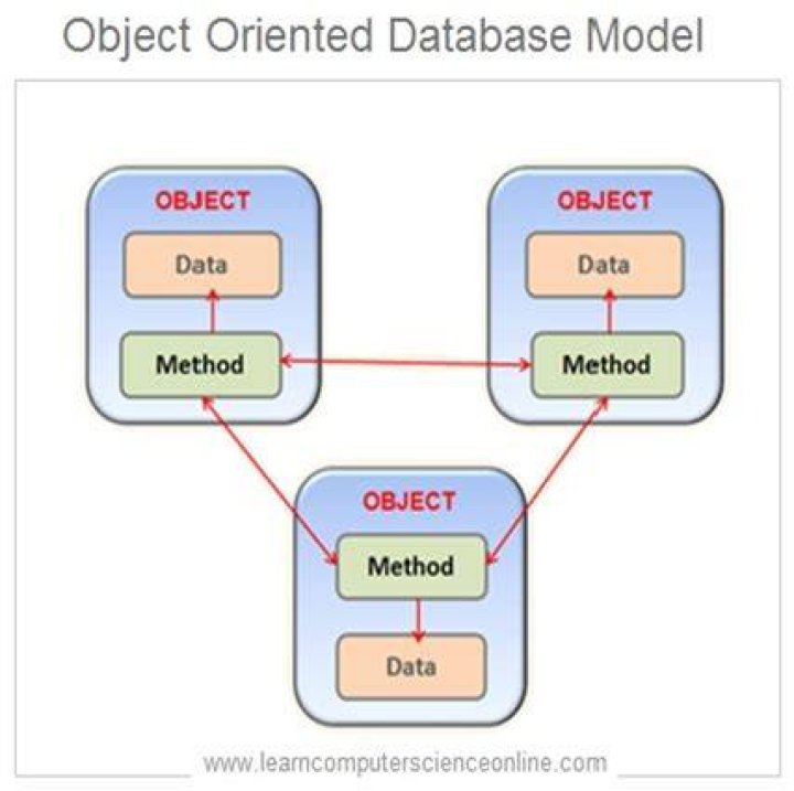 Object-oriented Database Management System