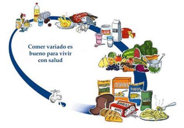 Ovalo Nutricional