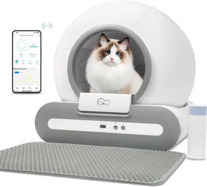 self cleaning cat litter box