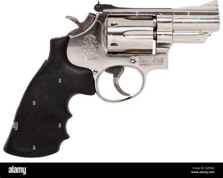 smith and wesson stock