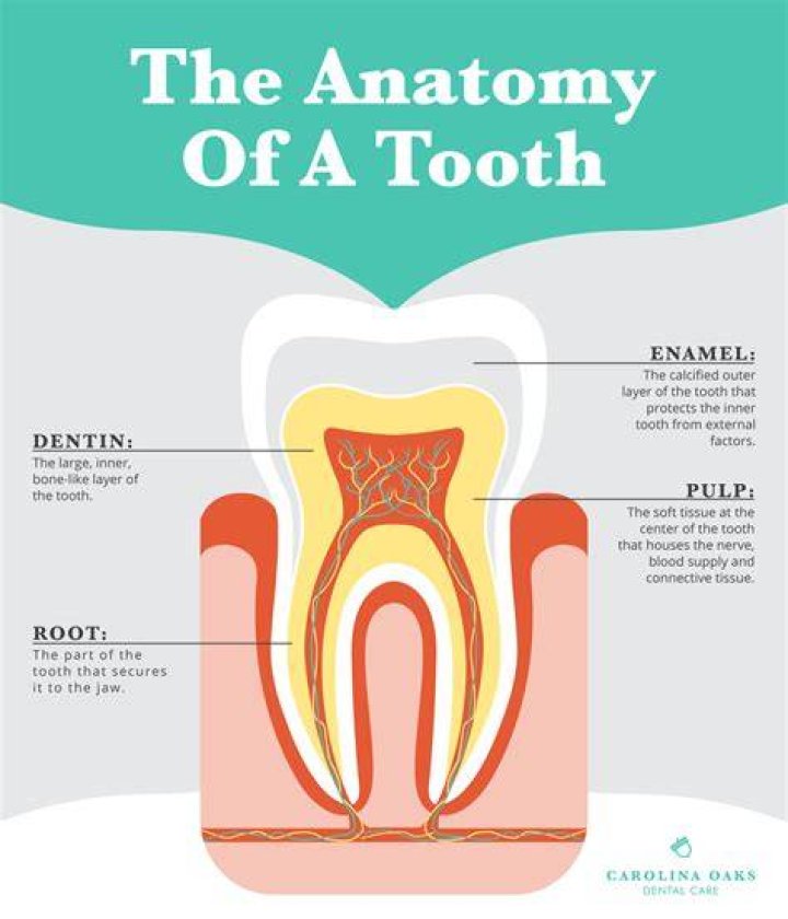 :tooth: