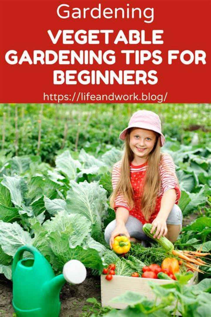 vegetable gardening for beginners
