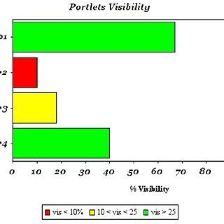 Visibility Percentage
