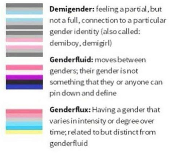 what does demigirl mean