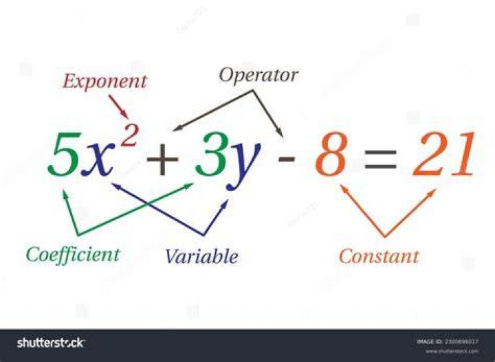 what is a polynomial
