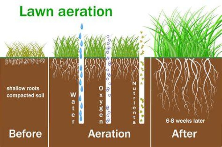 when should you aerate your lawn