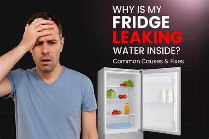 why is my fridge leaking
